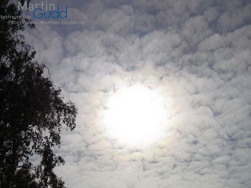 Altocumulus stratiformis – Korona in Form einer Aureole um die Sonne